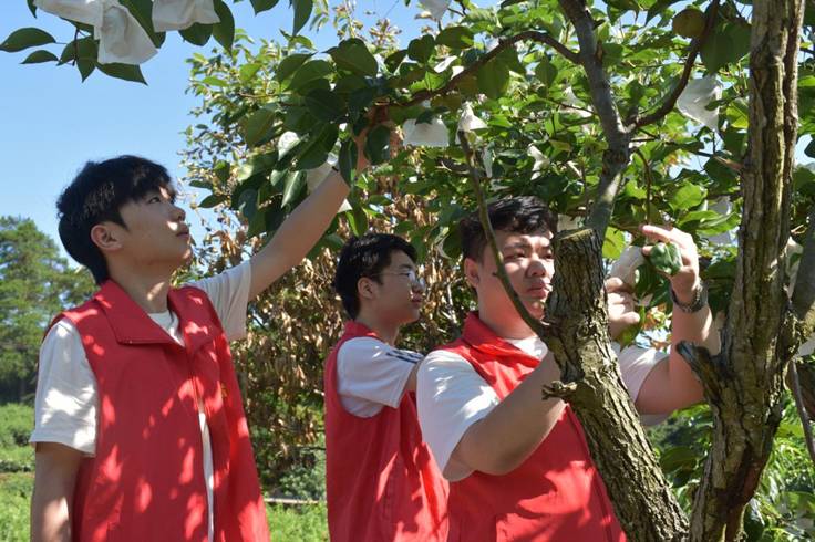 图示, 示意图 中度可信度描述已自动生成:ver1