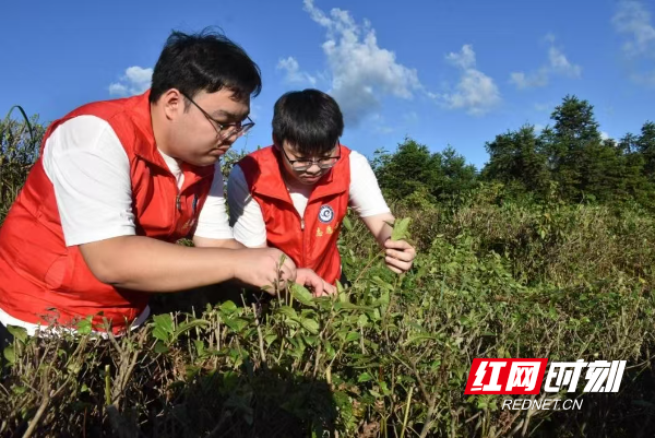 微信图片_20250710154857.jpg 微信图片_20250710154857.jpg