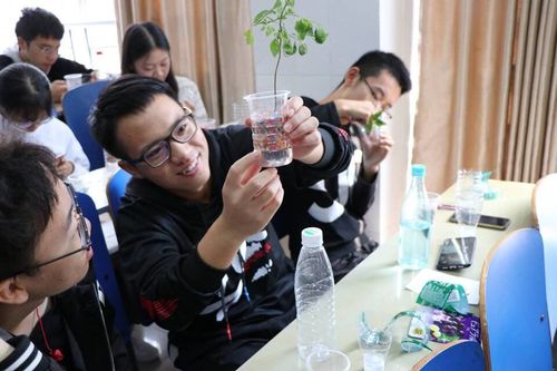 QQ图片20181107173304