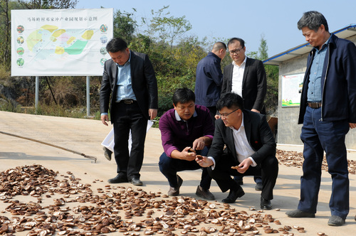 mmexport1573281427191 mmexport1573281427191