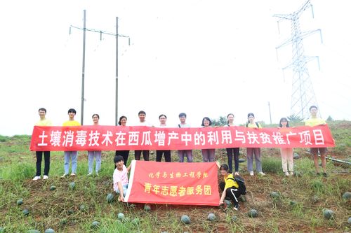 QQ图片20190712173602