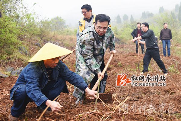 安博官网app党委书记陈弘与潮水铺村村支书一同种下金槐树苗