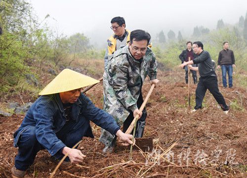 安博官网app党委书记陈弘与潮水铺村村支书一同种下金槐树苗。